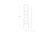 Bamboo Ladder