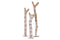 Dogon Ladder