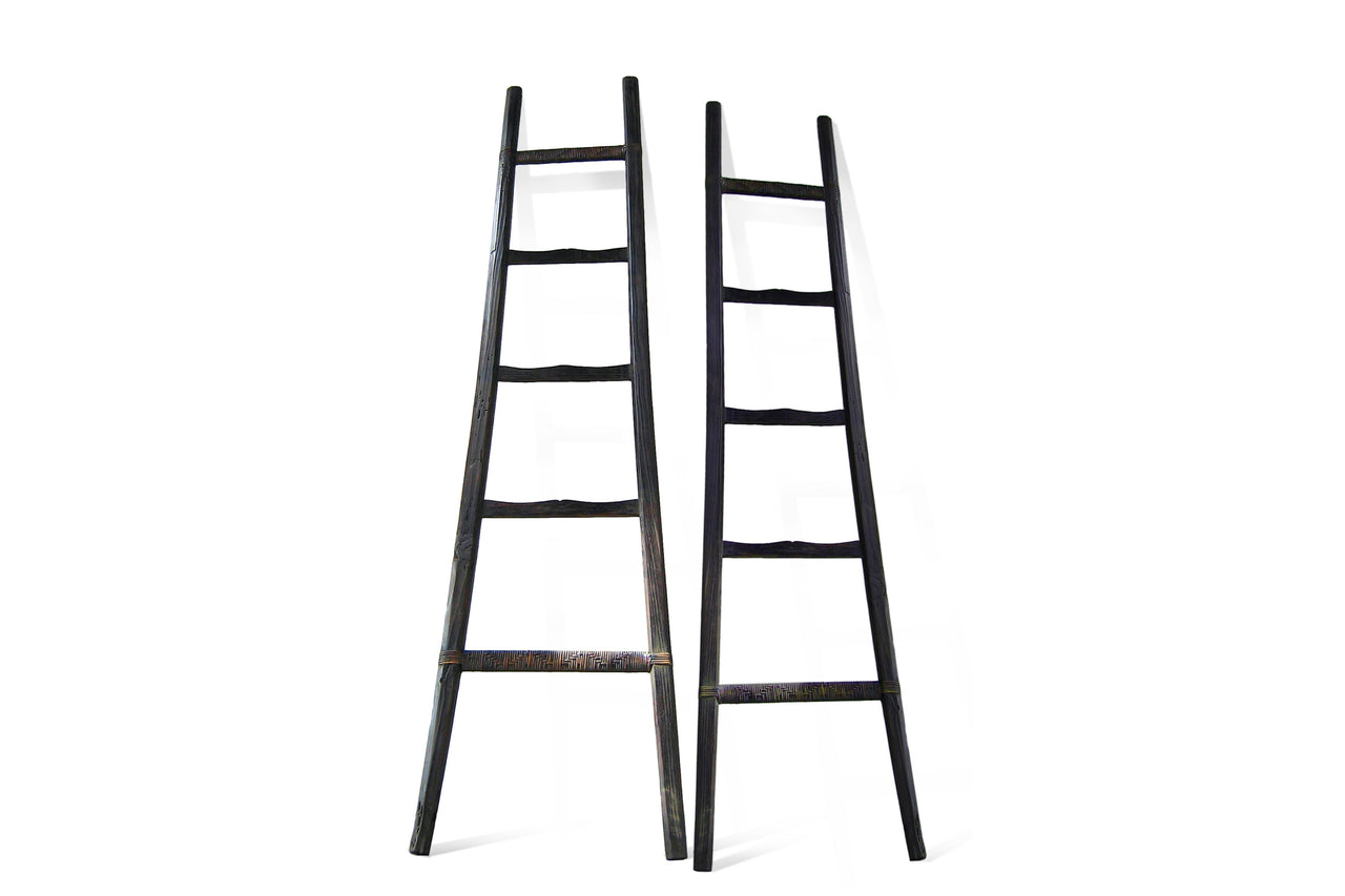 Mountain Pine Ladder