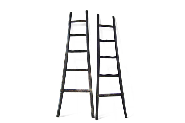 Mountain Pine Ladder