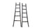 Mountain Pine Ladder