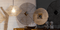 Wire Wheel