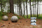 Acacia Spheres