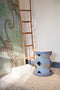 Bamboo Ladder
